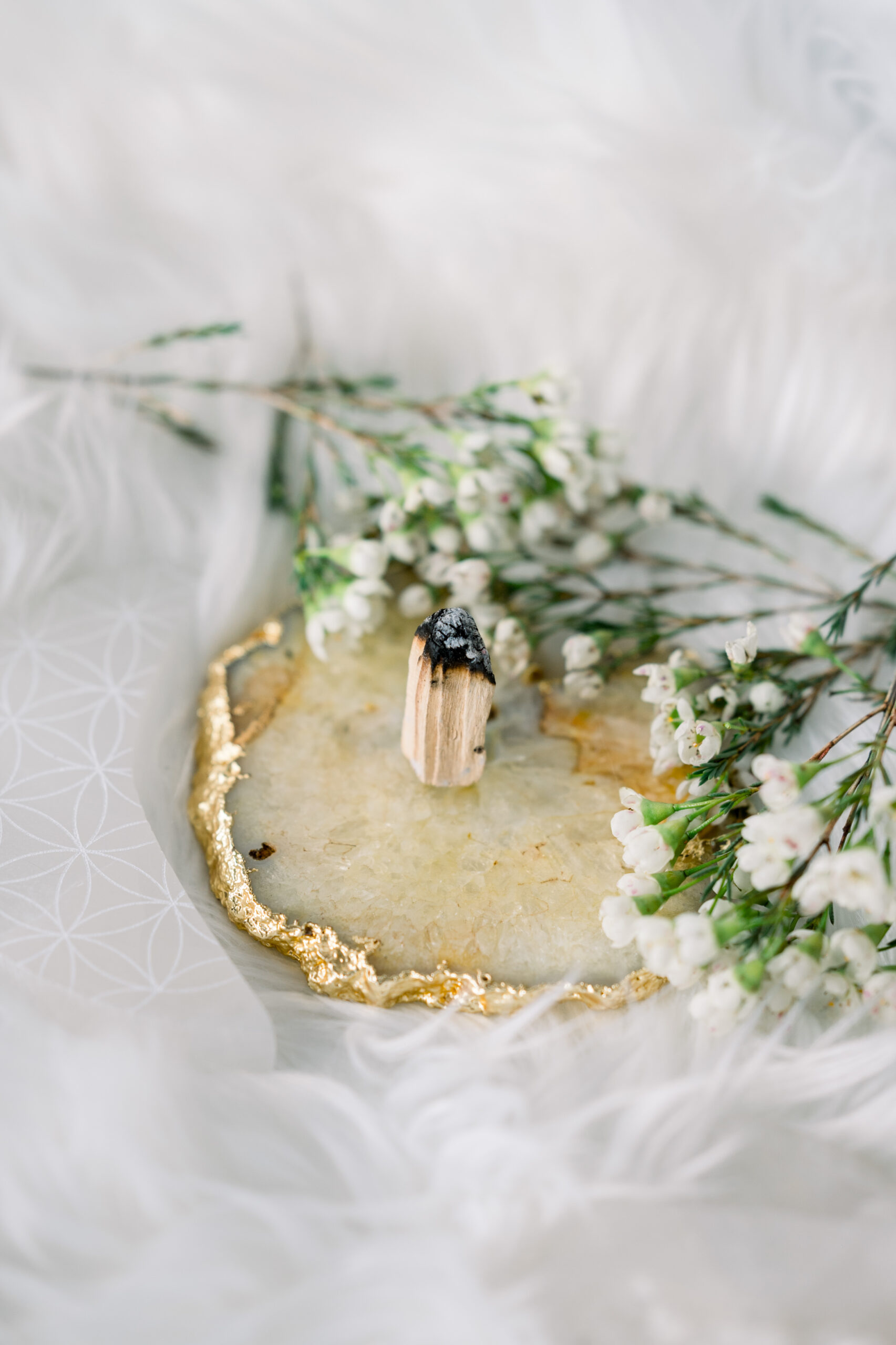 Introduction to the Law of Attraction: The Universe's Best Kept Secret