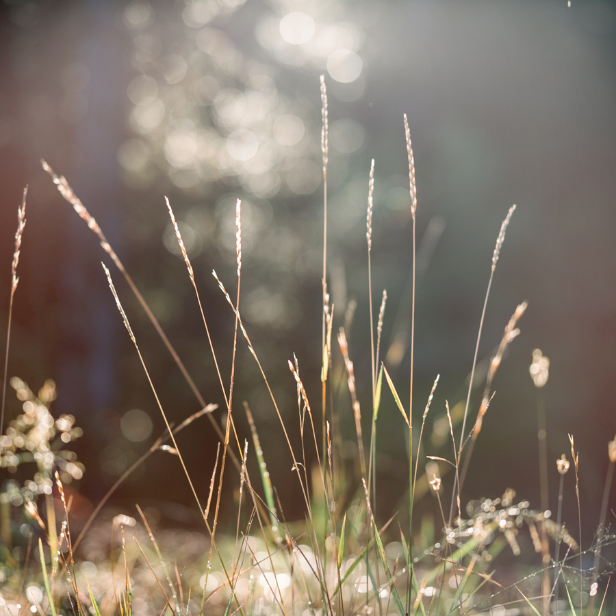 Past Trauma and Beliefs of "Not Good Enough" Stall Your Abundance Work